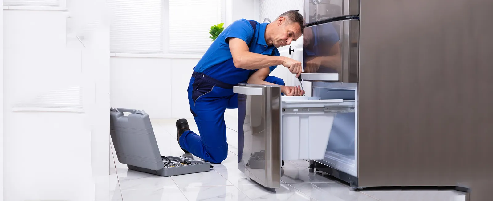 Refrigerator service and cleaning